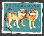 Sellos de Europa - Rumania -  2319 - Animales Jóvenes