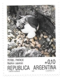 Stamps Argentina -  aves