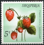 Sellos de Europa - Albania -  Frutas