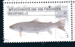 Stamps Germany -  Productos del mar