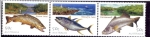 Stamps : Oceania : Australia :  Productos del mar