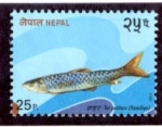 Stamps Bhutan -  Productos del mar