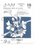 Stamps Morocco -  flores