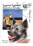 Stamps Morocco -  perros