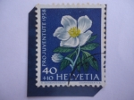 Stamps Switzerland -  Pro Juventute 1958- Rosa de Cristo- Christms Rose (Helleborus Niger)-Serie: Flores de prado y Jardín