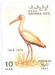 Sellos de Africa - Marruecos -  aves