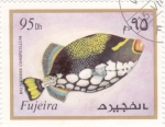 Stamps United Arab Emirates -  PEZ TROPICAL