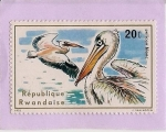 Stamps Rwanda -  Pelicanos