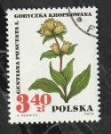 Stamps Poland -  1627 - Flor, Gentiana Punctata L.