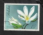 Stamps Poland -  1983 - Flor, Magnolia kobus Dc