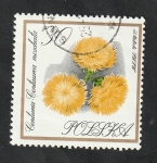 Stamps Poland -  1548 - Flor de jardín, Centuria Centaurea moschata