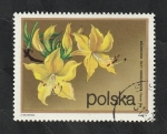 Stamps Poland -  2063 - Rhododendron flavum don