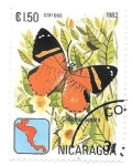 Sellos de America - Nicaragua -  mariposas