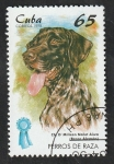 Stamps Cuba -  3711 - Braco alemán, perro de raza