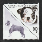 Stamps Guinea -  1134 AT - Perro de raza, boston terrier