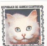 Sellos de Africa - Guinea Ecuatorial -  gatos de raza