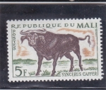 Stamps Mali -  búfalo cafre