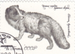 Stamps Russia -  ZORRO