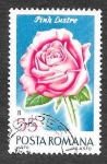 Sellos de Europa - Rumania -  2194 - Rosa Lustre