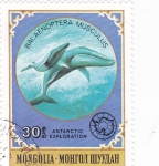 Stamps Mongolia -  BALLENAS