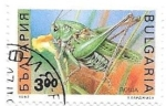 Sellos de Europa - Bulgaria -  insectos