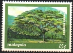 Sellos del Mundo : Asia : Malaysia : ÁRBOL  DE  LLUVIA