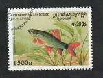 Sellos de Asia - Camboya -  1472 - Pez tropical