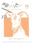 Stamps Morocco -  fauna