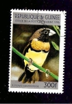 Stamps Guinea -  1370