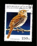 Sellos de Africa - Guinea -  1269