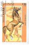 Stamps Morocco -  caballos