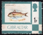 Sellos del Mundo : Europa : Gibraltar : Salmonete de Roca