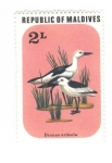 Stamps Maldives -  Aves. Dronas ardeola