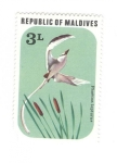 Stamps Maldives -  Aves. Phaeton lepturus