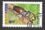 Sellos del Mundo : Europe : Bulgaria : 3713 - Insecto