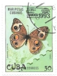 Stamps Cuba -  insectos