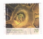 Stamps Germany -  Blüte odermenning