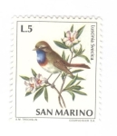 Stamps San Marino -  Ave. Luscinia Svecica