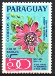 Sellos de America - Paraguay -  FLOR  DE  MBURUCUYÁ