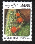 Stamps Afghanistan -  Cactus