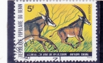 Stamps Benin -  ANTILOPES