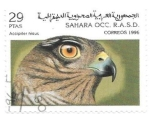 Sellos de Africa - Marruecos -  aves