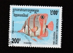 Stamps Cambodia -  Chelmon rostratus