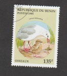 Sellos de Africa - Benin -  Ave Larus rudibundus