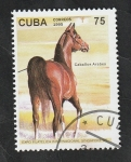 Stamps Cuba -  3458 - Caballo árabe