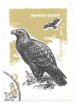 Sellos de Europa - Rusia -  aves