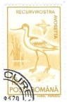 Stamps Romania -  aves