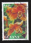 Stamps Guyana -  Orquídeas