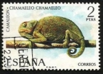 Sellos del Mundo : Europa : Espaa : Chamaeleo chamaeleo - 2094