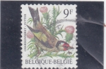 Stamps Belgium -  ave